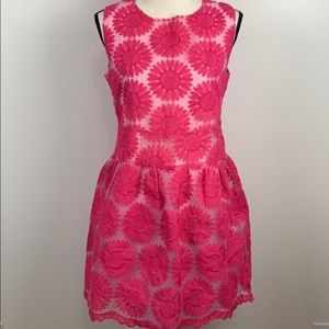 NWT Gracia Fit and Flare Dress Size M